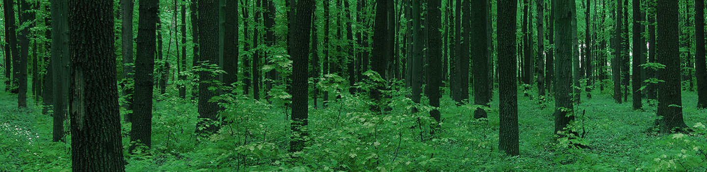 Regali da mettere sotto l’albero